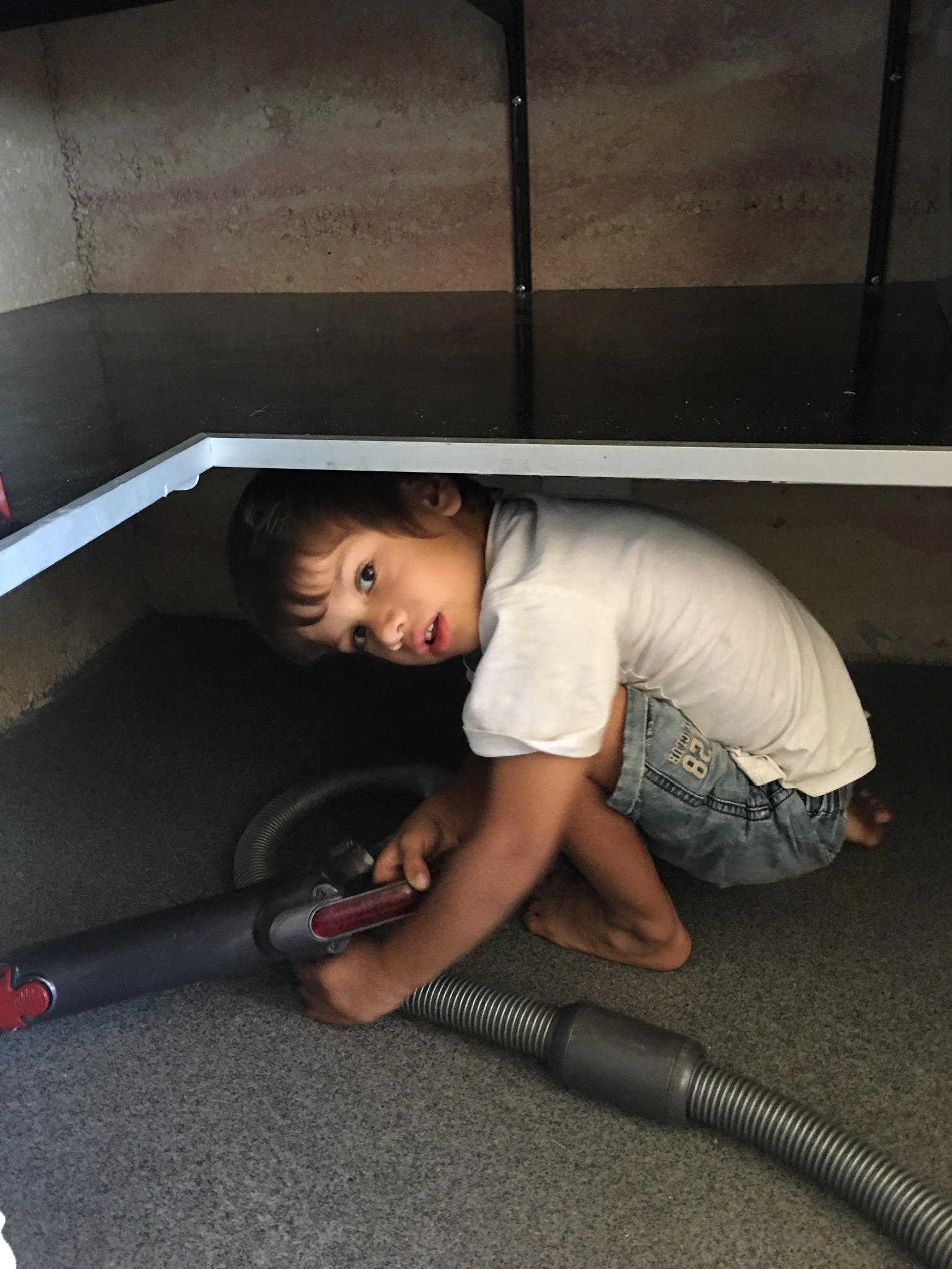 16 January 2019 Pantry Shelving