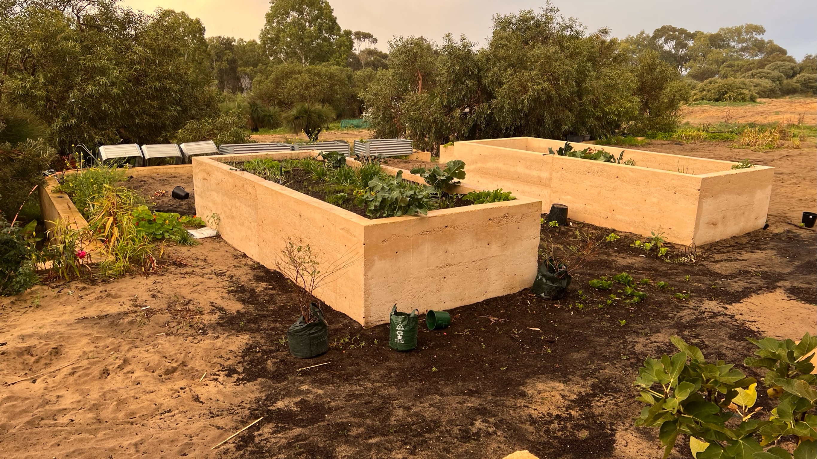 10 July 2022 Garden Beds 